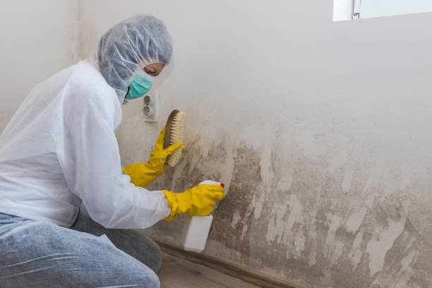 Best Mold Cleaning Services  in Bernice, LA