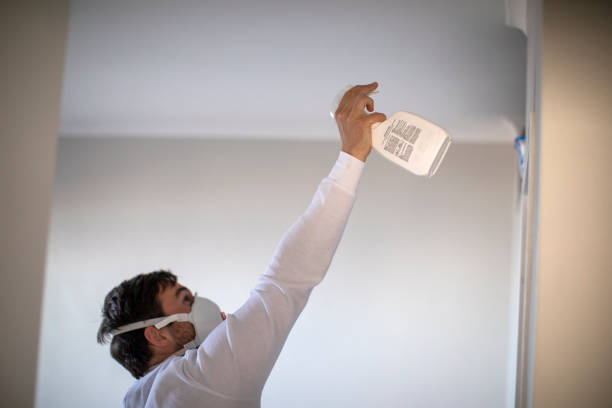 Best Home Mold Removal  in Bernice, LA