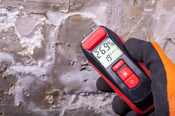 Best Residential Mold Removal  in Bernice, LA