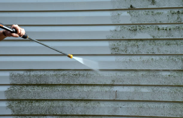 Best Mold Removal Process  in Bernice, LA