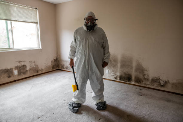 Best Commercial Mold Removal  in Bernice, LA